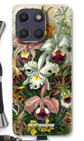 Haeckel Orchidae