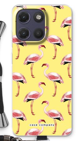 Flamingos yellow