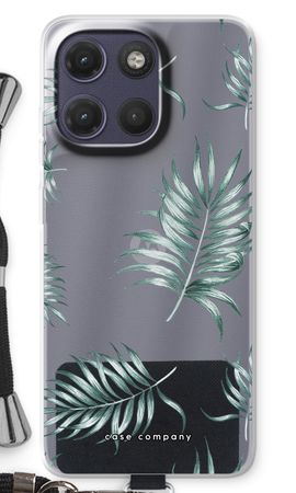 Simple leaves