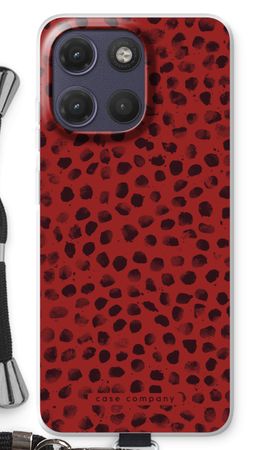 Ladybird Paint