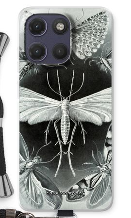 Haeckel Tineida