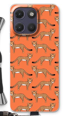 Cheetah