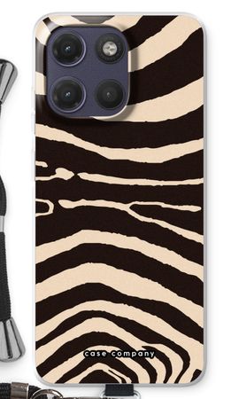 Arizona Zebra