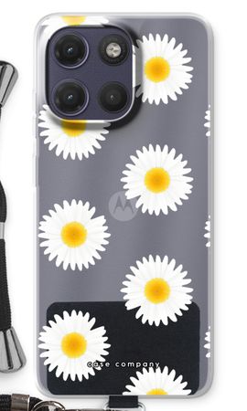 Marguerites