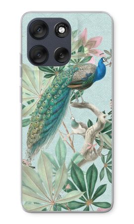 Paradise Garden Peacock