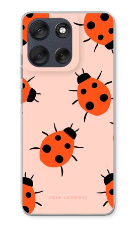 Ladybugs