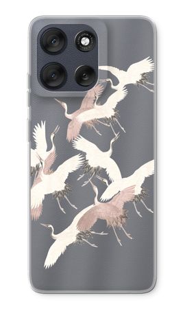 Japanese Crane Birds