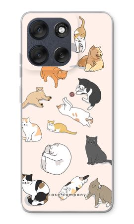 Katzen