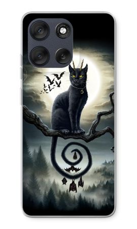 Moonlight Companions