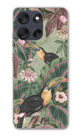 Tropical jungle toucan