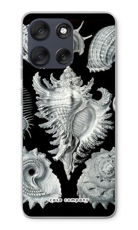 Haeckel Prosobranchia