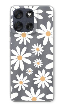 Wieder Gänseblümchen