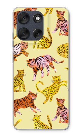 Cute Tigers and Leopards