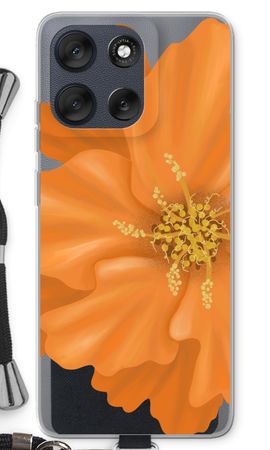Orange Ellila flower
