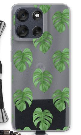 Monstera leaves