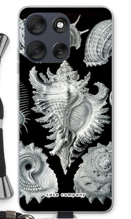 Haeckel Prosobranchia