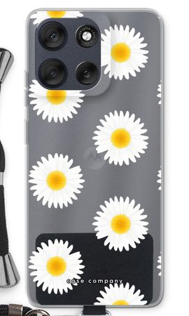 Daisies