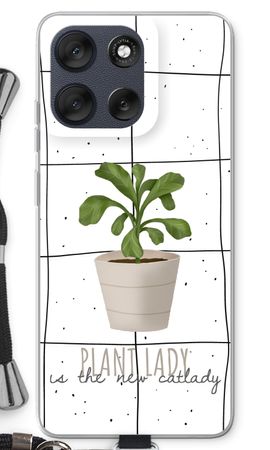 Houseplant on windowpane