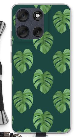 Monstera leaves