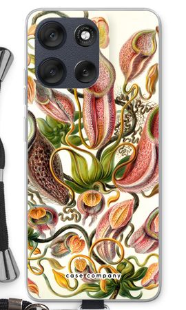 Haeckel Nepenthaceae