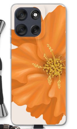 Orange Ellila flower