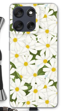 Summer Daisies