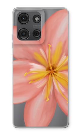 Pink Ellila Flower