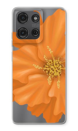 Orange Ellila flower
