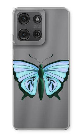 Blue Butterfly