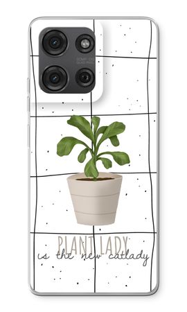 Houseplant on windowpane