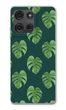 Monstera leaves
