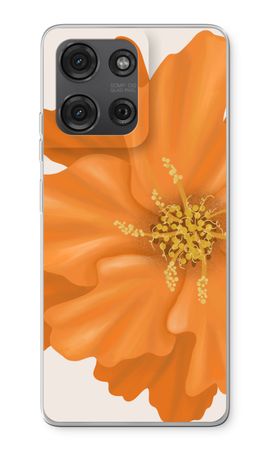 Orange Ellila flower