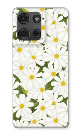 Summer Daisies