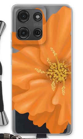 Orange Ellila flower