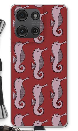 Seahorses