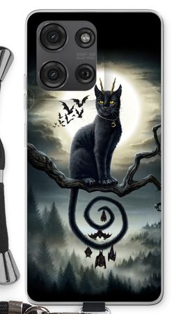 Moonlight Companions