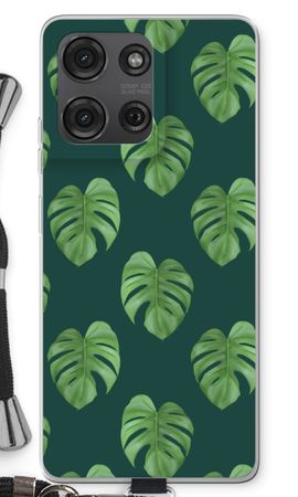 Monstera leaves