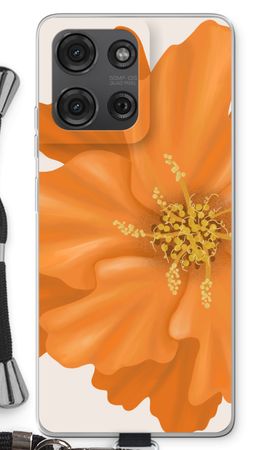 Orange Ellila flower
