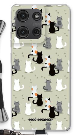 Cats