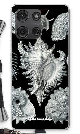 Haeckel Prosobranchia