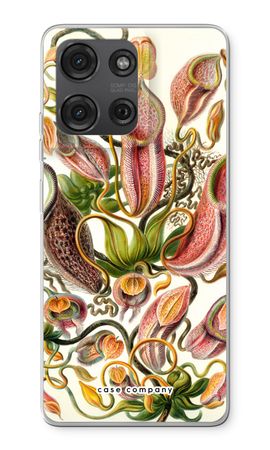 Haeckel Nepenthaceae