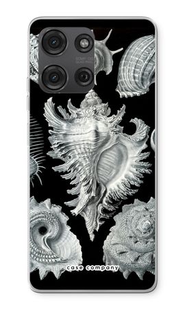 Haeckel Prosobranchia