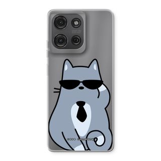 Cool katt