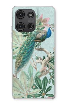 Paradise Garden Peacock