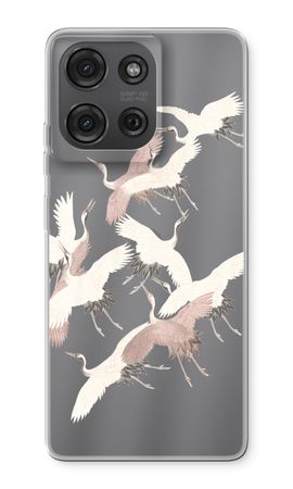 Japanese Crane Birds