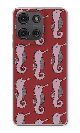 Seahorses