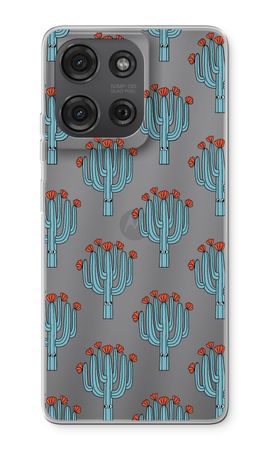 Cacti
