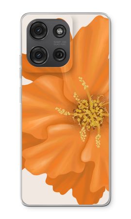 Orange Ellila flower