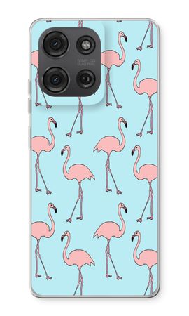 Anything Flamingoes