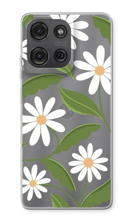 Daisies All Over